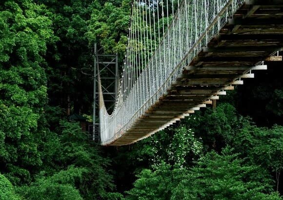Nilambur